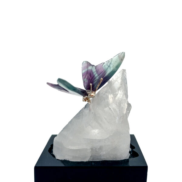 Fluorit Schmetterling – Bild 2