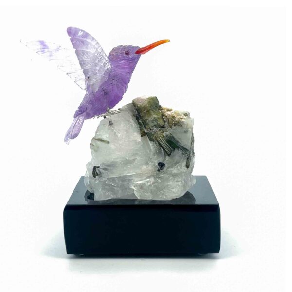 Amethyst Kolibri – Bild 3