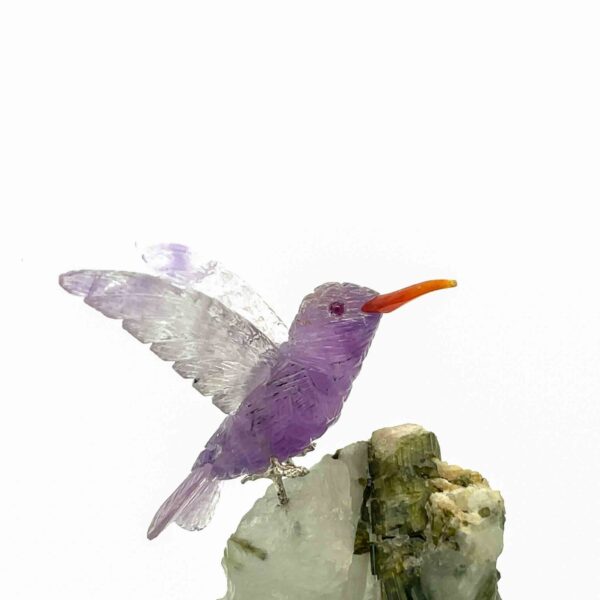 Amethyst Kolibri – Bild 2