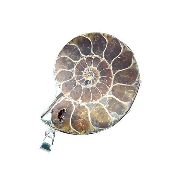 Fossiler Ammonitanhänger aus Madagaskar, geschliffen und opalisiert