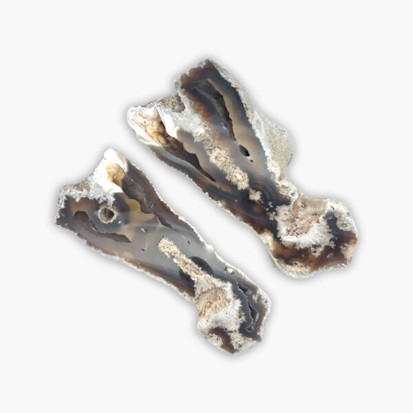 Fossile achatisierte Koralle – Bild 2
