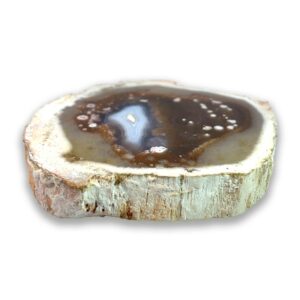 Achatisiertes / opalisiertes versteinertes Holz aus Indonesien – rosa Varietät mit Kupfer-Opaldentriten