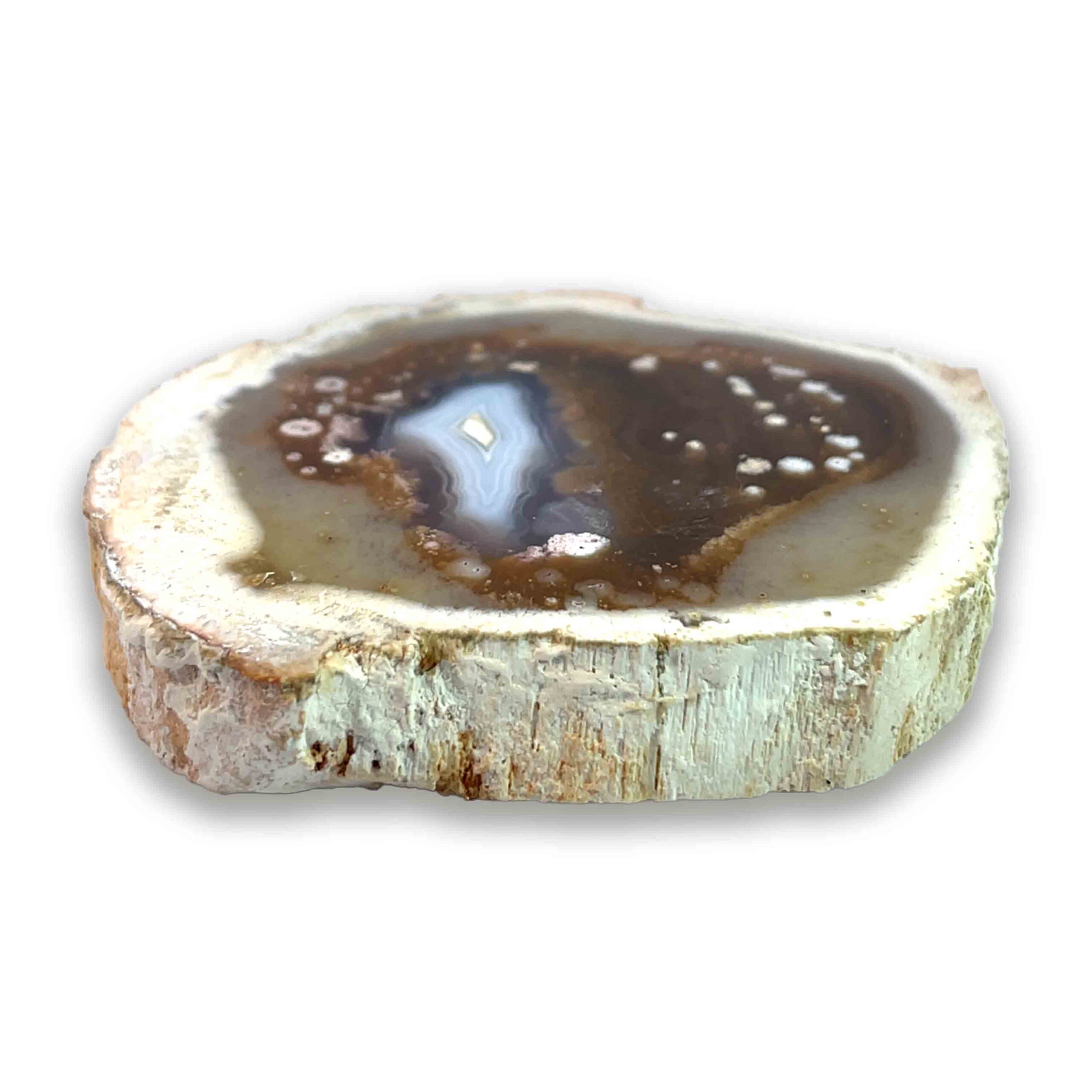 Achatisiertes / opalisiertes versteinertes Holz aus Indonesien – rosa Varietät mit Kupfer-Opaldentriten