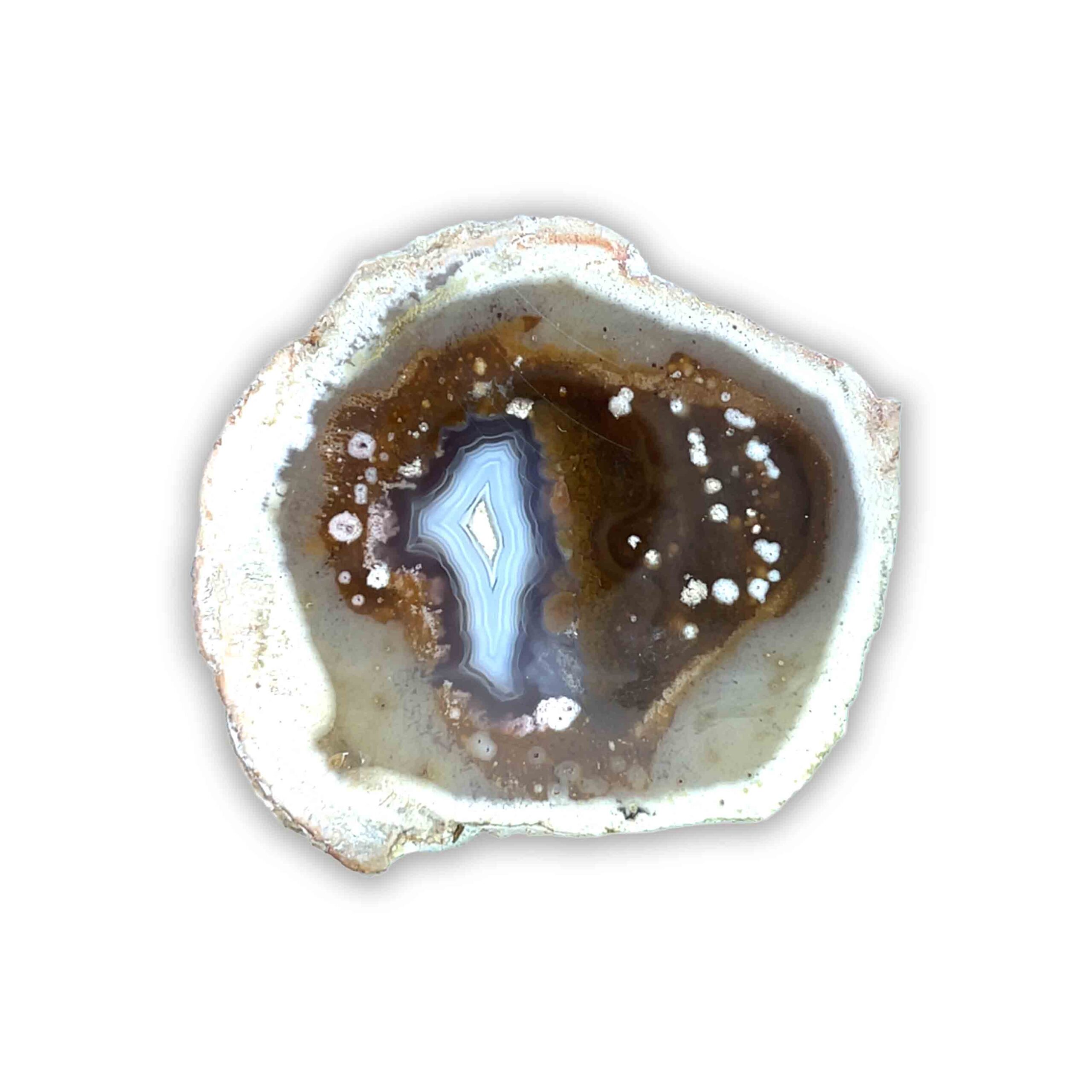 Achatisiertes/Opalisiertes versteinertes Holz – Bild 2