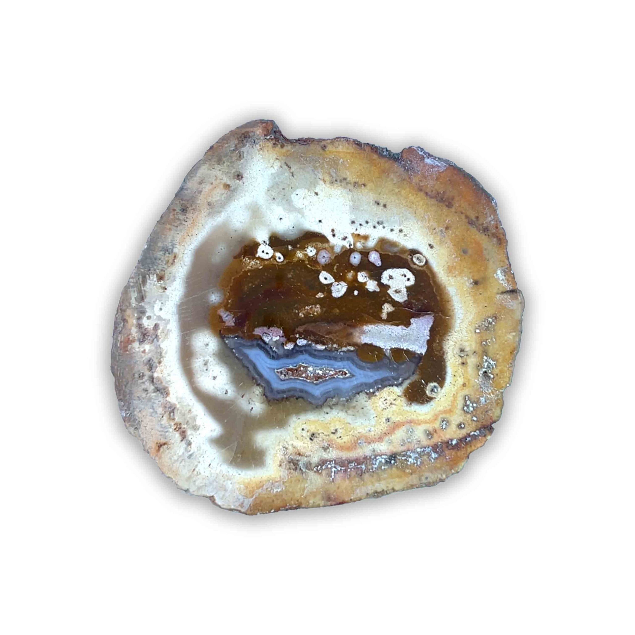 Achatisiertes/Opalisiertes versteinertes Holz – Bild 2