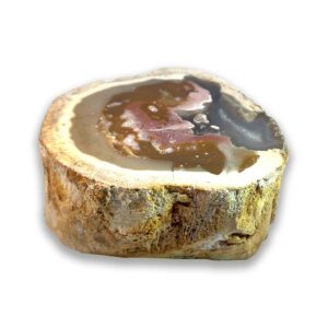 Achatisiertes / opalisiertes versteinertes Holz aus Indonesien – rosa Varietät mit Kupfer-Opaldentriten