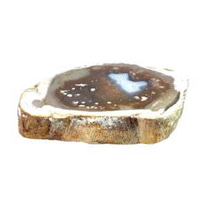 Achatisiertes / opalisiertes versteinertes Holz aus Indonesien – rosa Varietät mit Kupfer-Opaldentriten