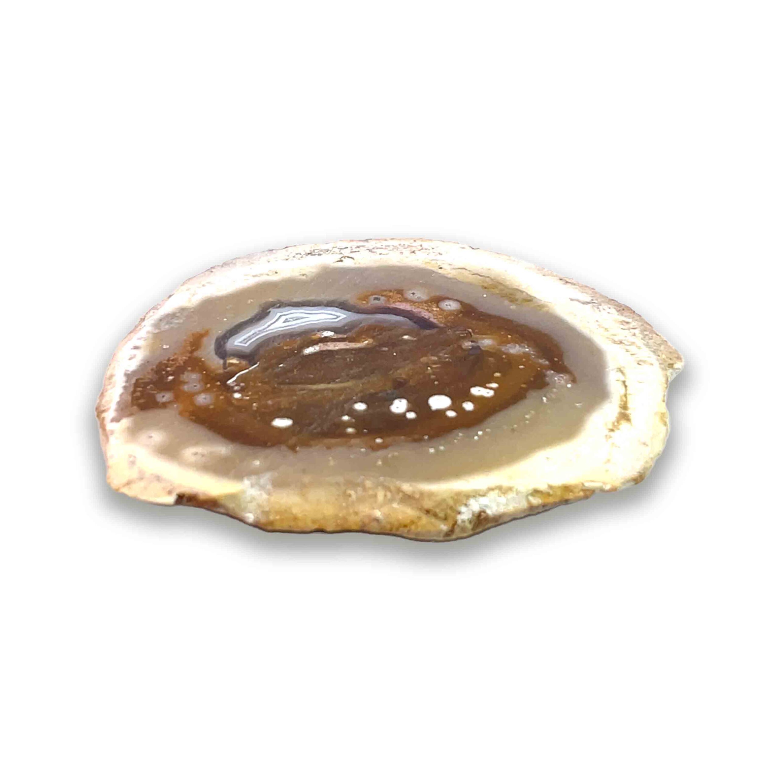 Achatisiertes / opalisiertes versteinertes Holz aus Indonesien – rosa Varietät mit Kupfer-Opaldentriten