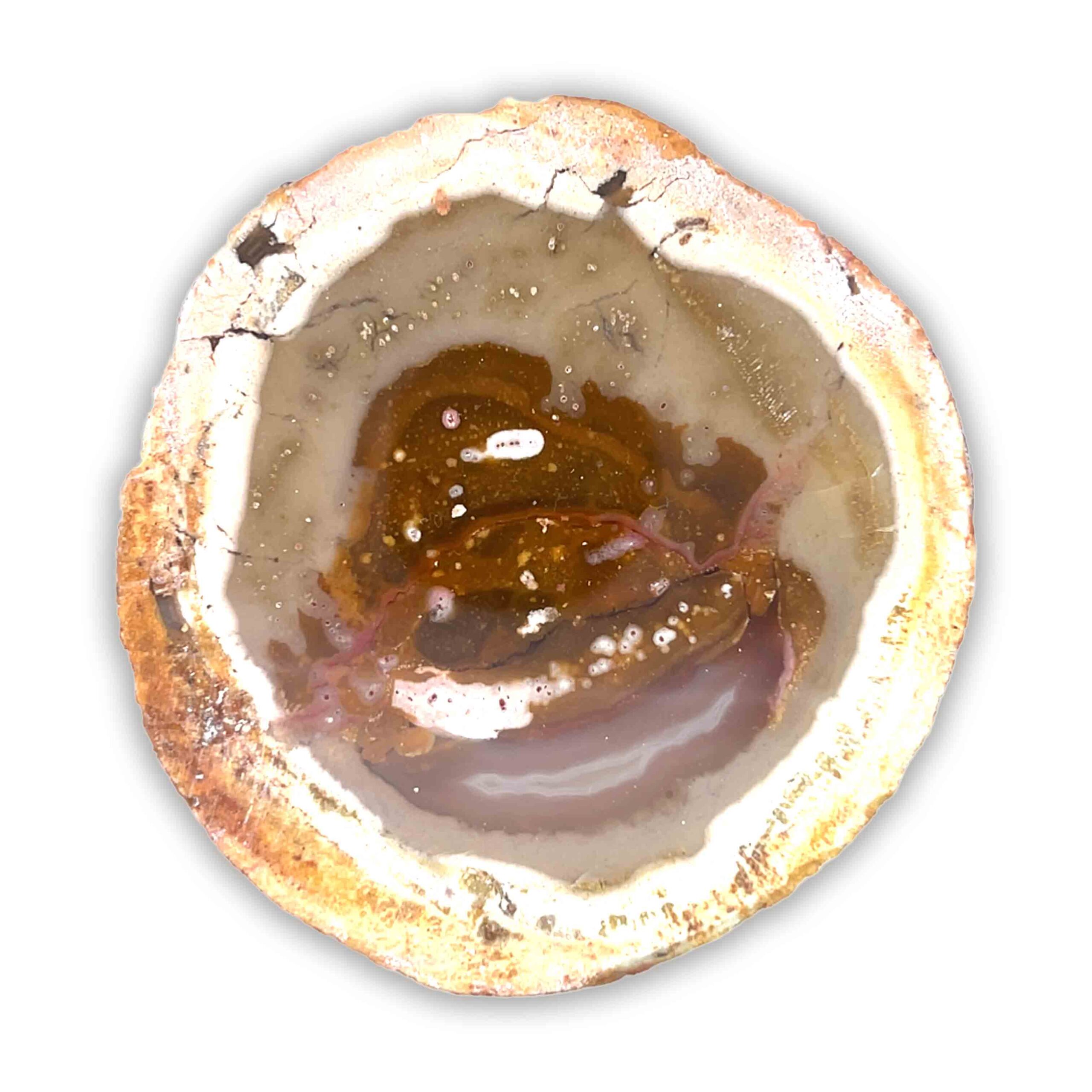 Achatisiertes/Opalisiertes versteinertes Holz – Bild 2