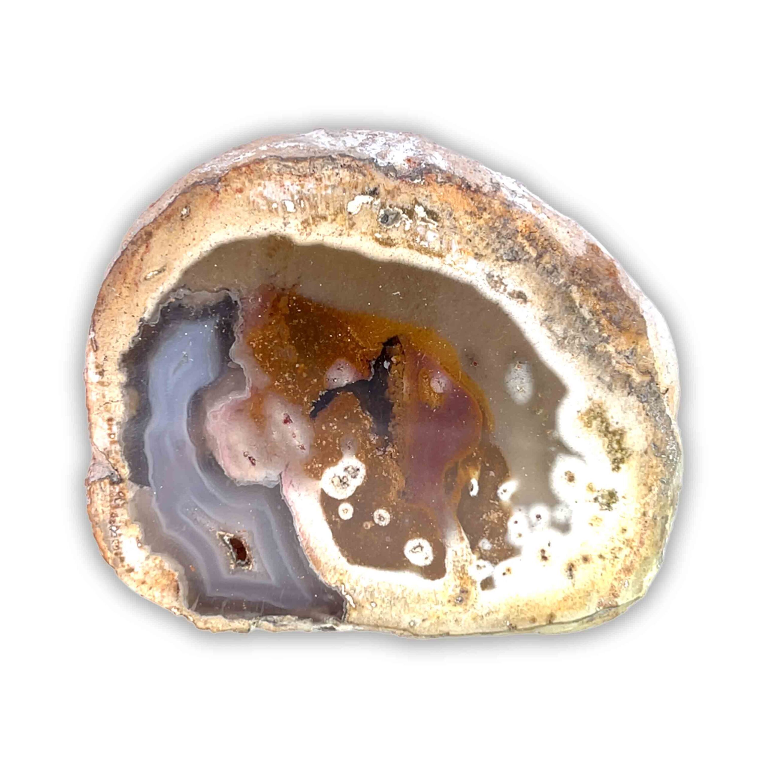 Achatisiertes/Opalisiertes versteinertes Holz – Bild 2