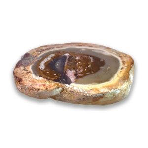 Achatisiertes / opalisiertes versteinertes Holz aus Indonesien – rosa Varietät mit Kupfer-Opaldentriten