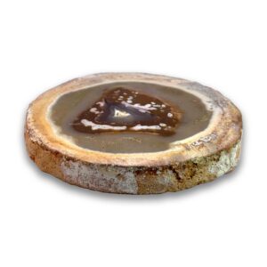 Achatisiertes / opalisiertes versteinertes Holz aus Indonesien – rosa Varietät mit Kupfer-Opaldentriten