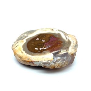 Achatisiertes/Opalisiertes versteinertes Holz