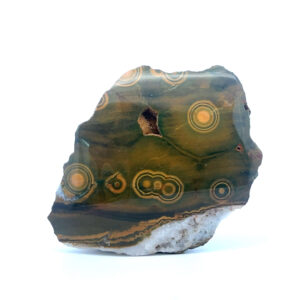 Ozeanjaspis mit bunten, kreisförmigen Mustern – polierter Edelstein mit natürlichem Farbspiel.