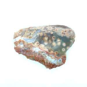 Ozeanjaspis mit bunten, kreisförmigen Mustern – polierter Edelstein mit natürlichem Farbspiel.