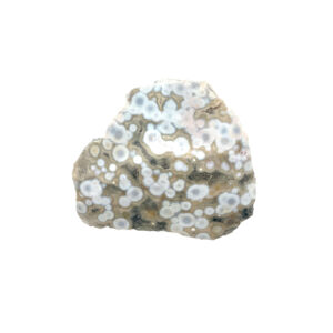 Ozeanjaspis mit bunten, kreisförmigen Mustern – polierter Edelstein mit natürlichem Farbspiel.