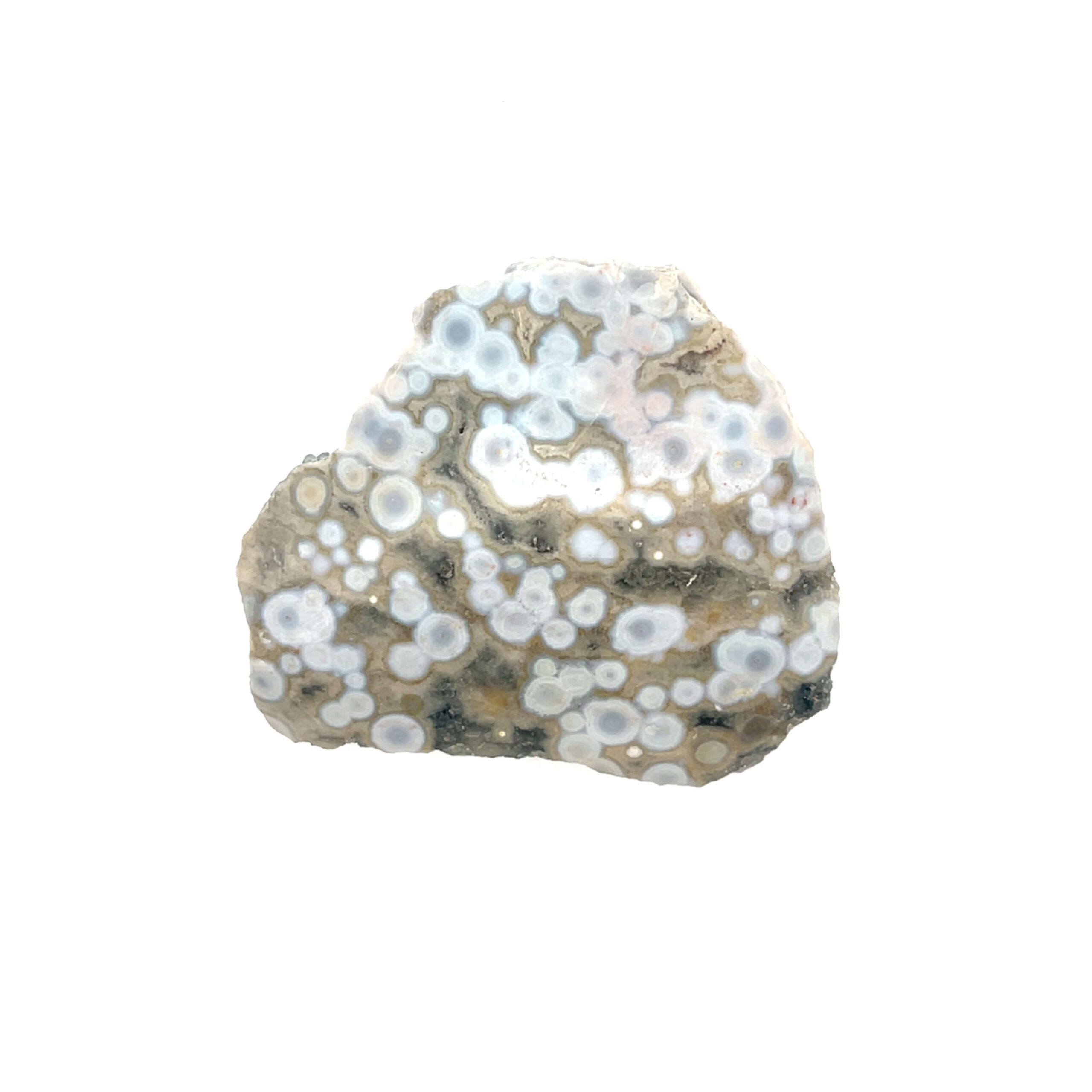 Ozeanjaspis mit bunten, kreisförmigen Mustern – polierter Edelstein mit natürlichem Farbspiel.