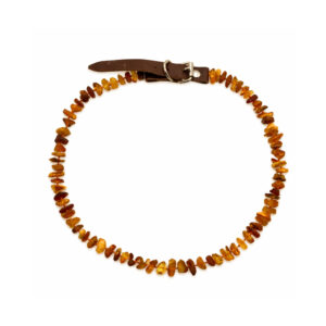 Bernstein Zeckenschutzhalsband Hund – naturbelassene Bernsteinperlen, verstellbar und ohne chemische Zusätze.